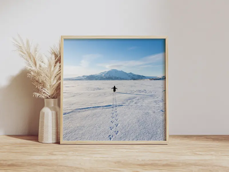 Penguin Mountain Poster, Cute Animal Wall Art, Adventure Nursery Decor, Square Art Print