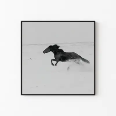 Poster Black Horse Galloping Across A Desolate White Desert Wall Art