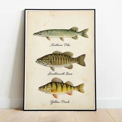 Northern Pike Smallmouth Bass Yellow Perch Watercolor Art Print Vintage Naturalist Illustration