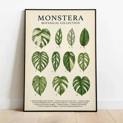 Monstera Botanical Collection Poster Botanical Art Print