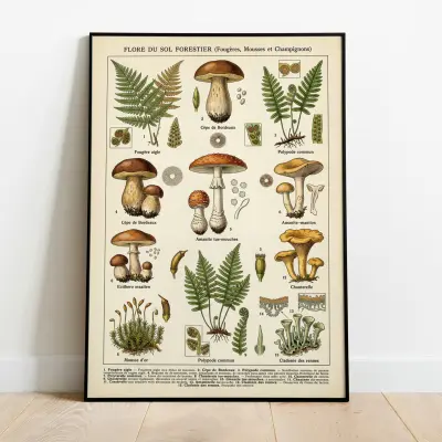 Botanical Illustration Poster Forest Floor Fungi Ferns Moss Vintage Art Print