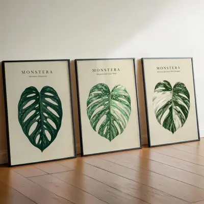 Set of 3 Monstera Botanical Prints Deliciosa Borsigiana Adansonii Mint Illustrations