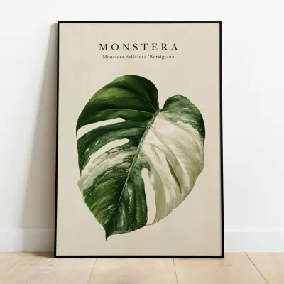 Poster Monstera Variegated Deliciosa Borsigiana Art Print Botanical Collection Illustration